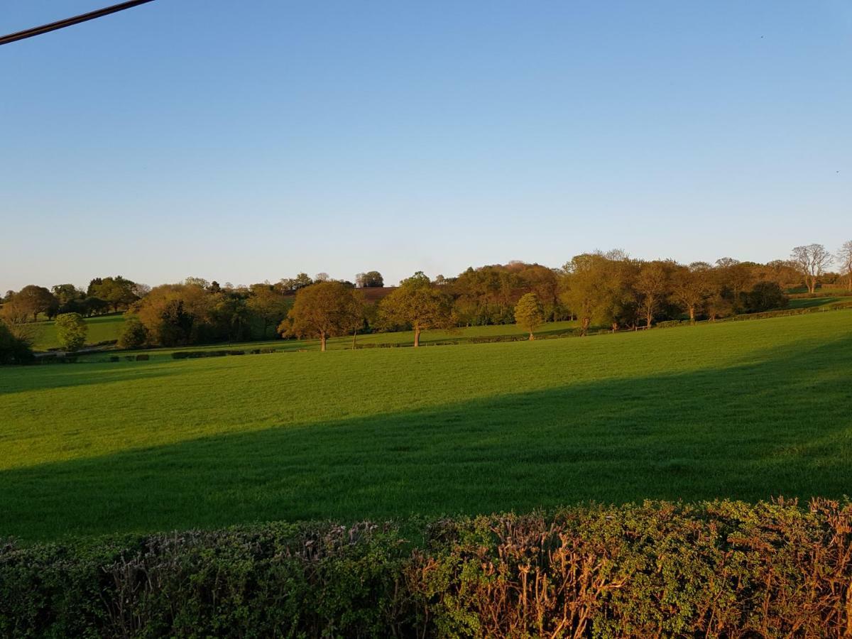Yew Tree * Hereford